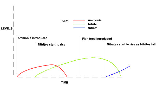 Cycling with Ammonia and Fish Food